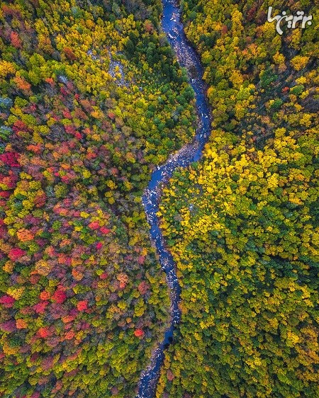 زیبایی پاییز در ایالات شمال شرقی امریکا
