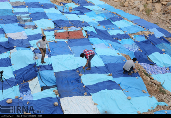 اقدامی جالب در رودخانه خشک شیراز