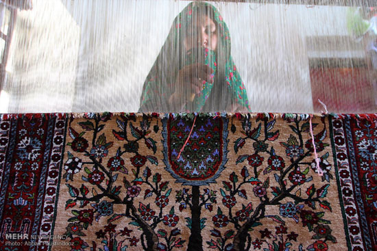 «دویدوخ» فرش ارزشمند ایرانی