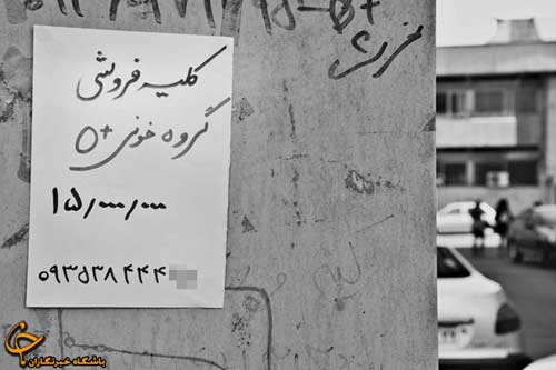 تصاویر فاجعه فروش کلیه در ایران
