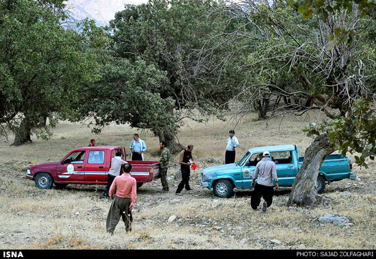 عکس: آتش سوزی در جنگل های زاگرس