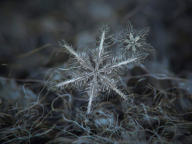 عکس های کلوزآپ زیبا از دانه های برف