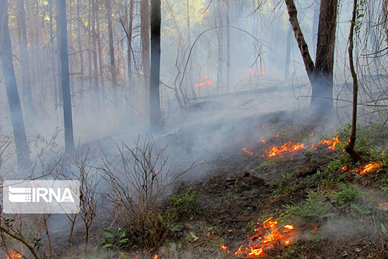 آتش‌سوزی در جنگل‌های «پره‌سر» رضوانشهر