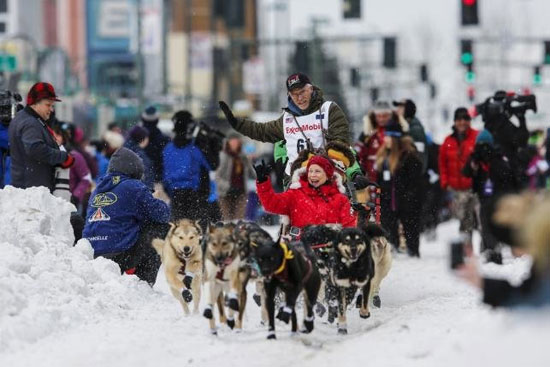 رقابت سگهای سورتمه کش در آلاسکا