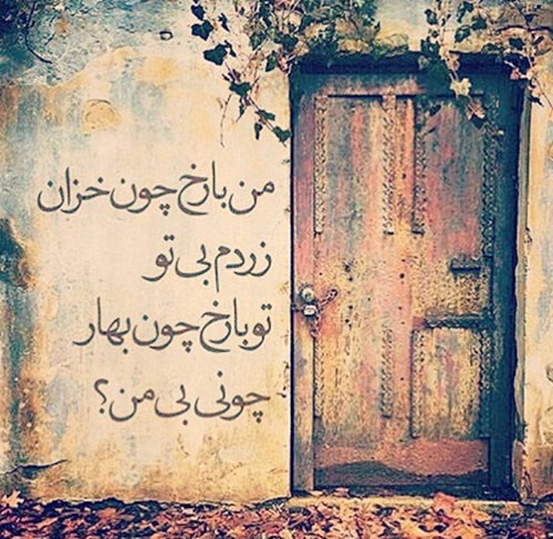 مینی شعر (171)