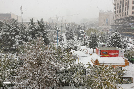 برف و تهرانی که بلاخره نفس کشید