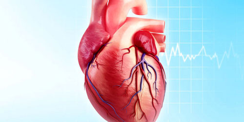 بیماری‌های قلبی در کمین کم‌تحرک‌ها