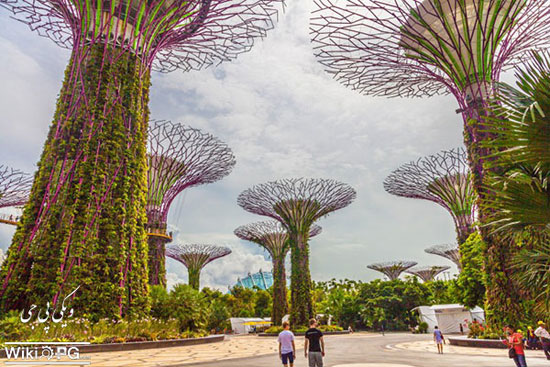 یک باغ خارق العاده در سنگاپور +عکس
