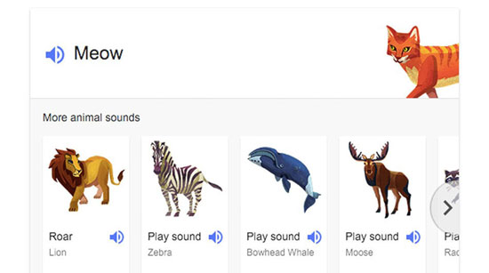 شنیدن صدای حیوانات در جستجوی گوگل