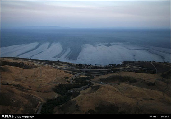 فاجعه زیست محیطی در ساحل کالیفرنیا