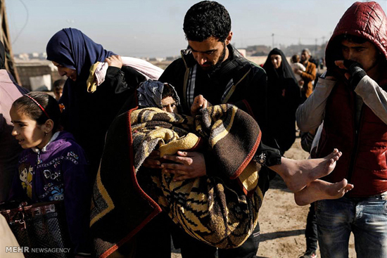 فرار 50 هزار عراقی از موصل‎