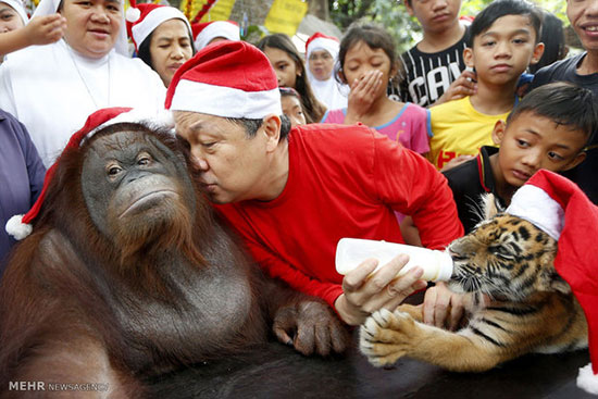 هدیه کریسمس برای حیوانات باغ وحش
