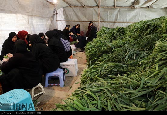 پخت 72 تن آش نذری در شیراز +عکس