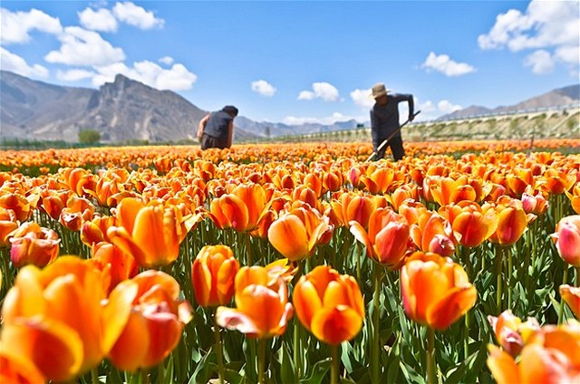 تصاویر دیدنی روز از جای جای کره زمین