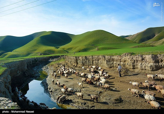 عکس: اینجا صحرای ترکمن است