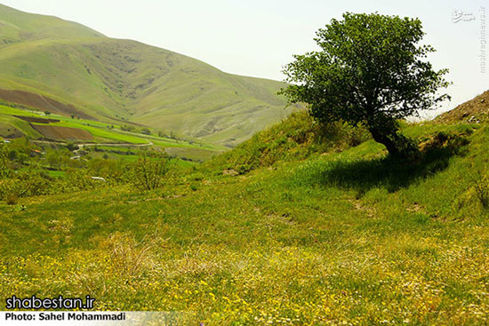 طبیعت محشر کردستان