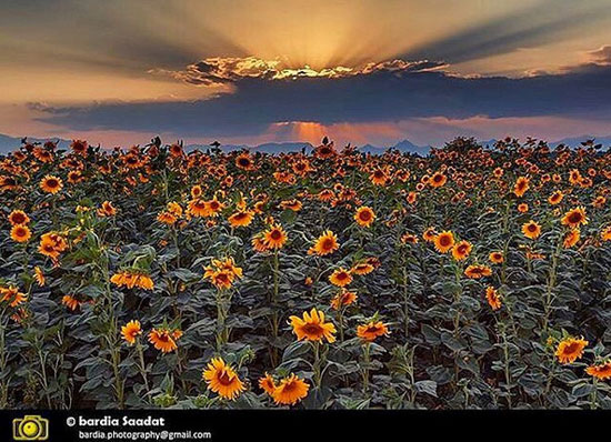 ایرانِ زیبای ما (34)