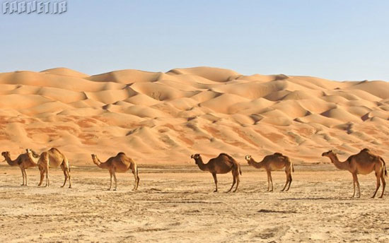 با زیباترین بیابان‌های دنیا آشنا شوید!