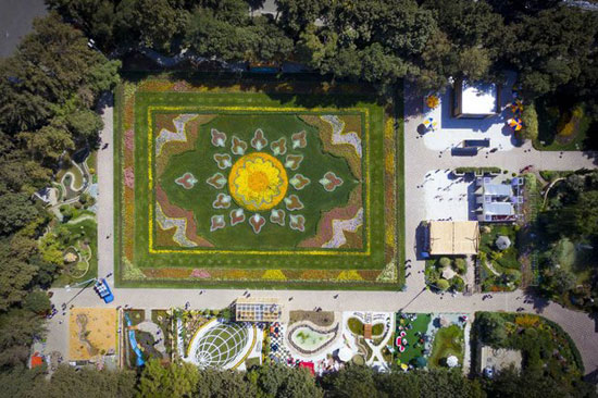 بزرگترین فرش گل دائمی کشور در کرج