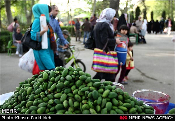 گزارش تصویری: سیزده به در تهرانی ها