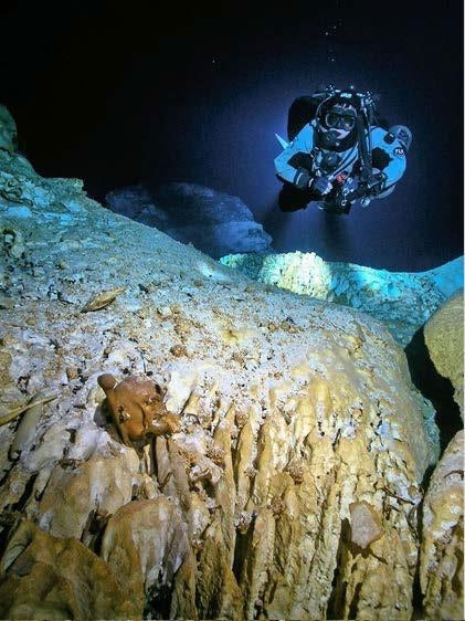 کشف استخوان‌های عصر یخبندان در حفره‌ی سیاه