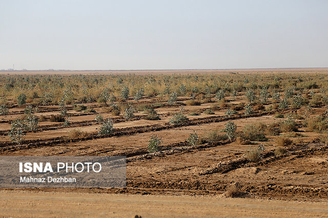 احداث پارک جنگلی برای رفاه زائران اربعین