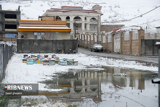 بارش برف در آخرین روز قرن در آذربایجان شرقی 