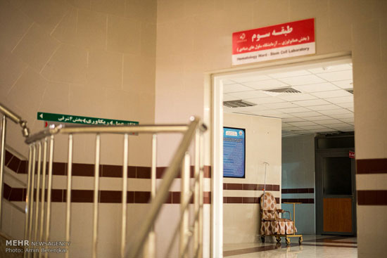 عکس: احیای شب های قدر در بیمارستان ها