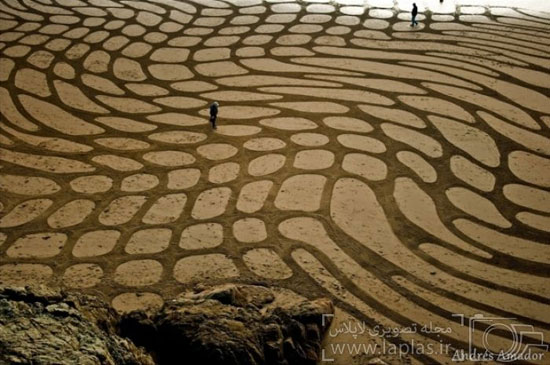 خلق آثار هنری زیبا در ساحل! +عکس