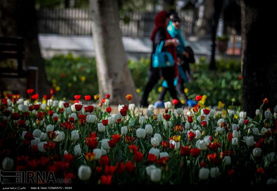 عکس: بوستان زیبای «باغ ایرانی»