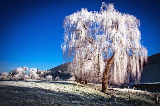 زیبایی طبیعت استرالیا شما را سحر می کند