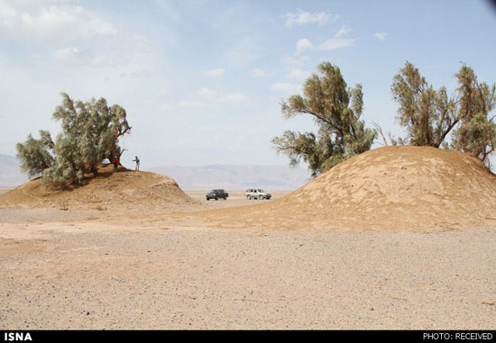 بلندترین «گلدان صحرا» در ایران +عکس