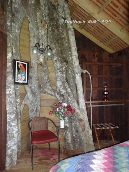 يك اقامتگاه تفريحي بر روي درخت! +عکس