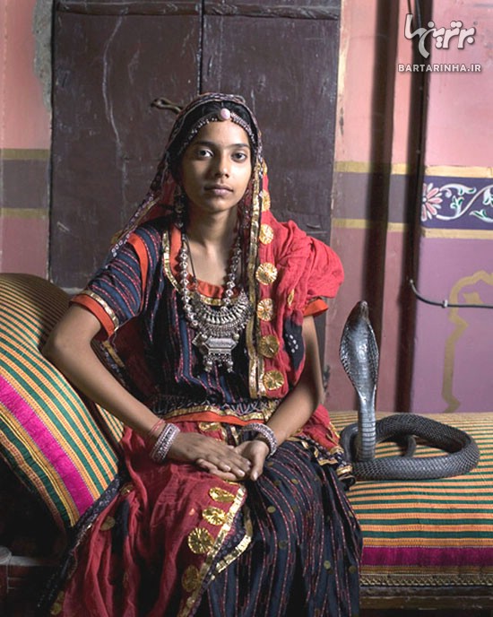 ازدواج دختر هندی با مار کبری! /عکس
