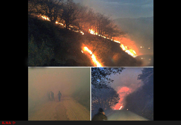 آتش‌ سوزی گسترده در پارک ملی گلستان