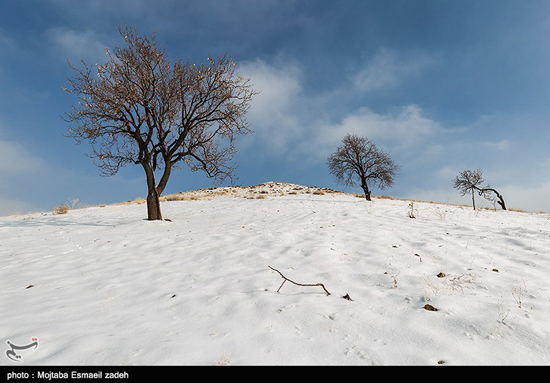 طبیعت زیبای زمستان در ارومیه