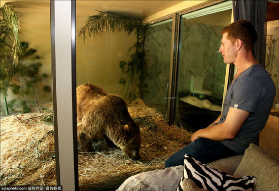 در این هتل با شیر و خرس هم اتاق شوید!