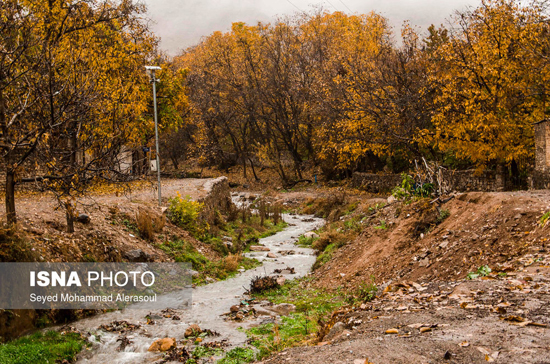 طبیعت پاییزی شاندیز