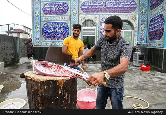 عید قربان در «معلم‌کلا»