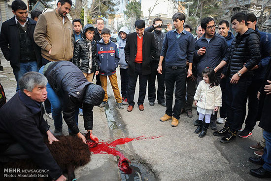 عکس: سنگ تمام گنبدی‌ها برای سردار
