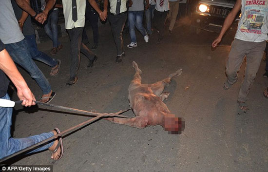قتل مرد متجاوز توسط مردم در خیابان! (18+)