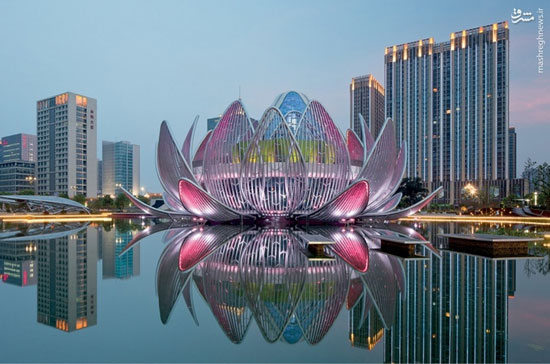 ساختمان گل‌های نیلوفر آبی در چین