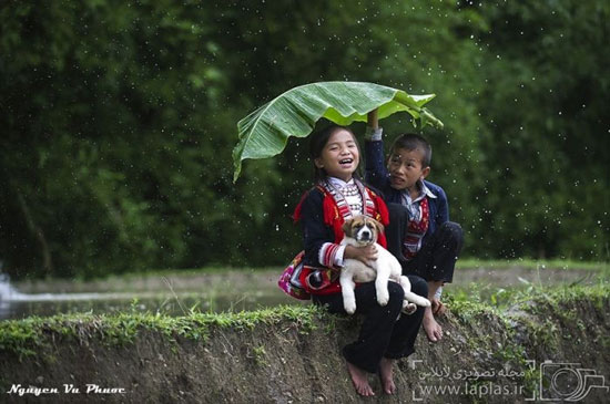 عکس: زیبایی مسحور کننده ویتنام