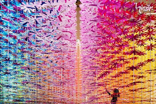 تجربه هنری رنگارنگ در اتاقی با 25 هزار گل کاغذی