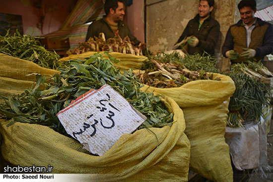 خرید و فروش گیاهان کوهی در ارومیه +عکس