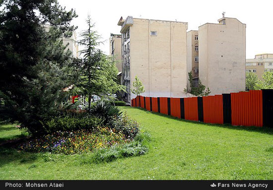 عکس: قطع درختان در منطقه 2 تهران