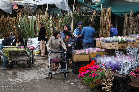 عکس: بازار گل وگیاه تهران