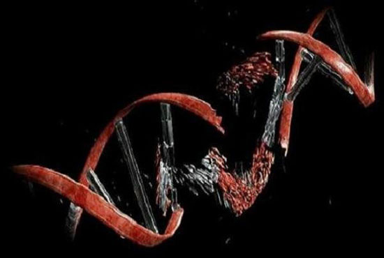 خطا در رونویسی DNA علت بروز اکثر سرطان‌ها