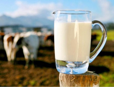 10 باور غلط درباره شیر