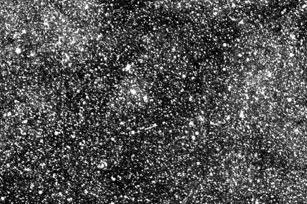 تصویر جدید ماهواره ناسا از ۲۰۰ هزار ستاره